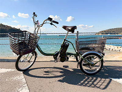 Electric assist tricycle